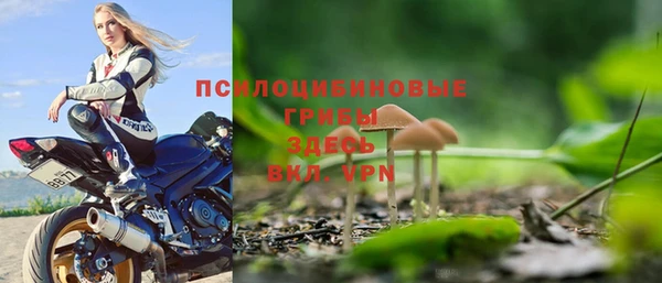 синтетический гашиш Гусь-Хрустальный
