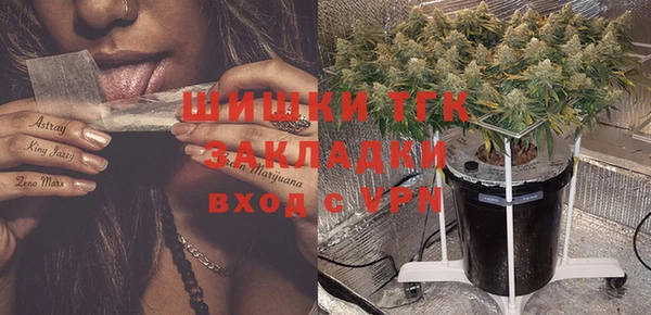 мдма Гусев