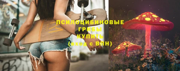 мдма Гусев