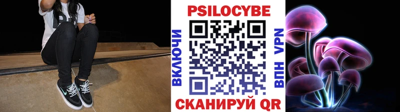 hydra ССЫЛКА  что такое наркотик  Большой Камень  Галлюциногенные грибы Psilocybine cubensis 