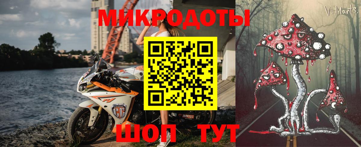 Большой Камень  Псилоцибиновые грибы Psilocybine cubensis  Вход с VPN  Галлюциногенные грибы прущие грибы 