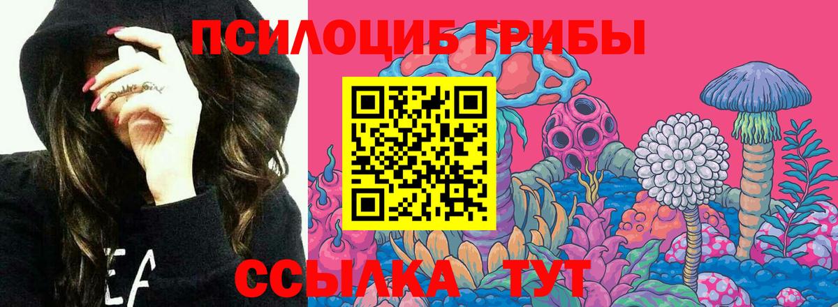 Псилоцибиновые грибы Cubensis  Большой Камень 