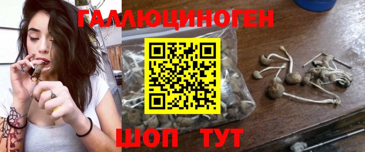 Псилоцибиновые грибы Psilocybine cubensis Большой Камень
